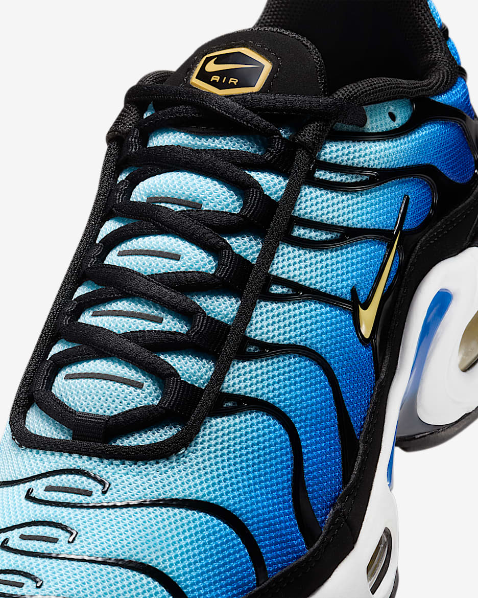 Nike Air Max Plus Big Kids Shoes. Nike